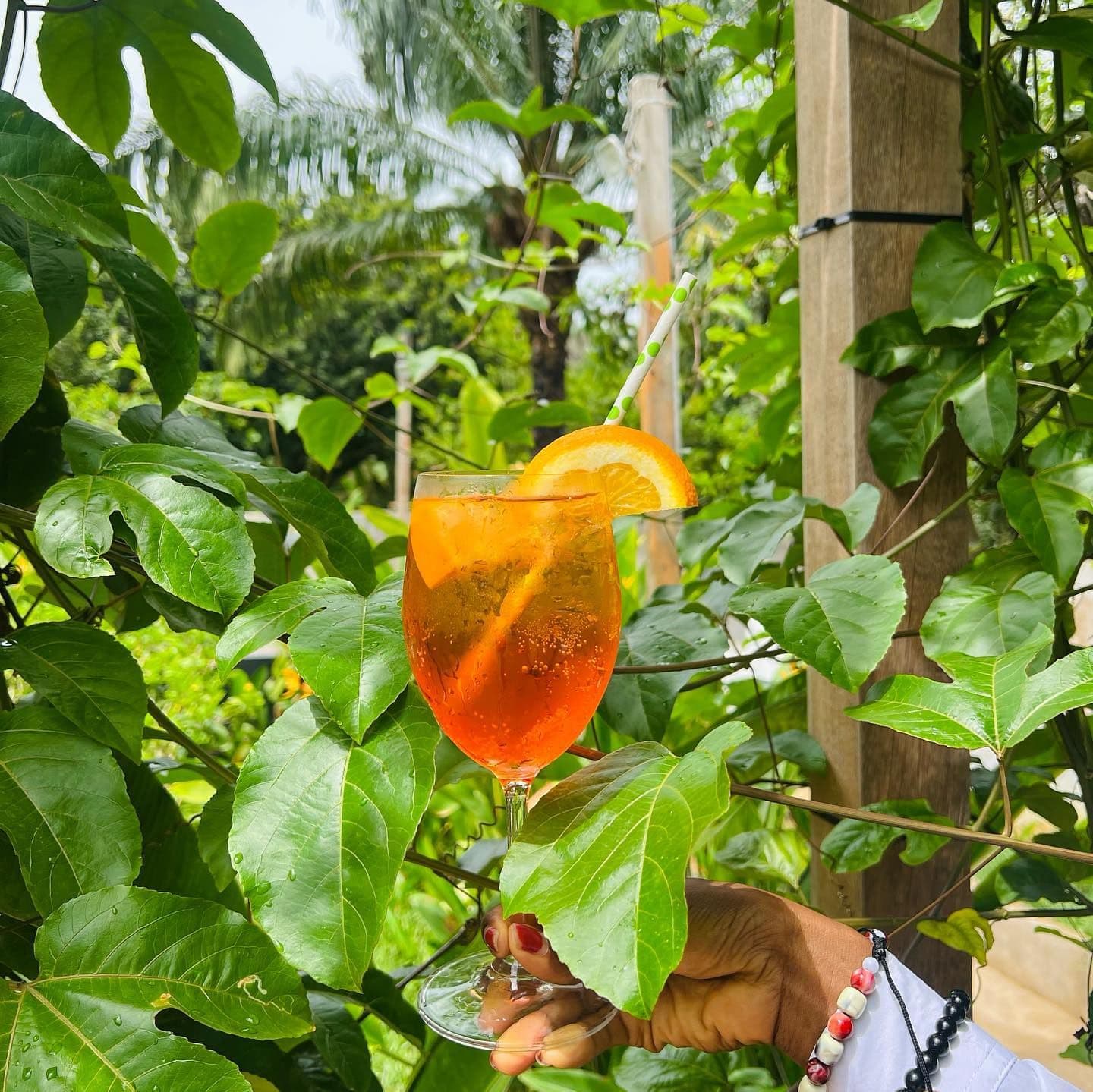 Image du restaurant 7