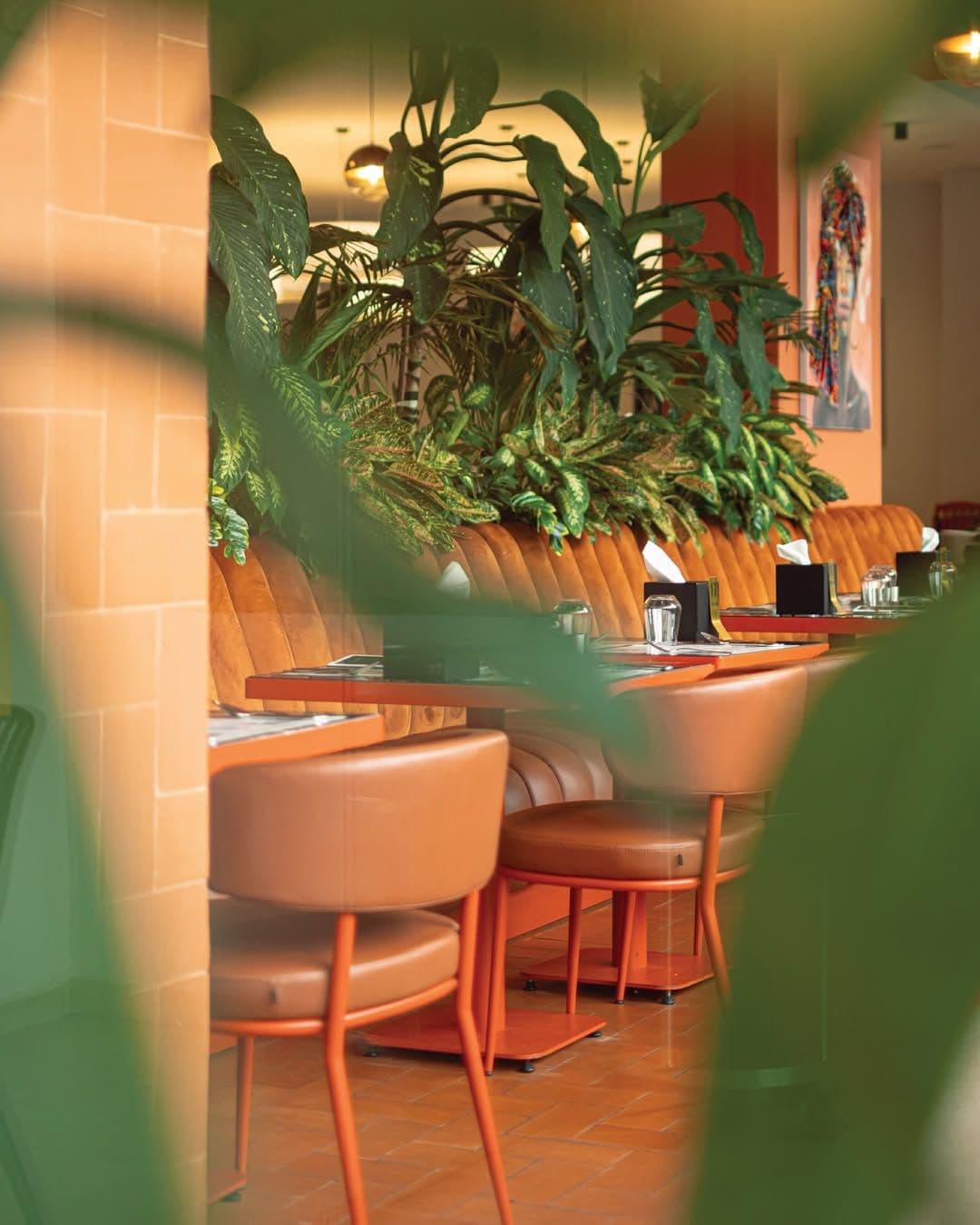 Image du restaurant 7