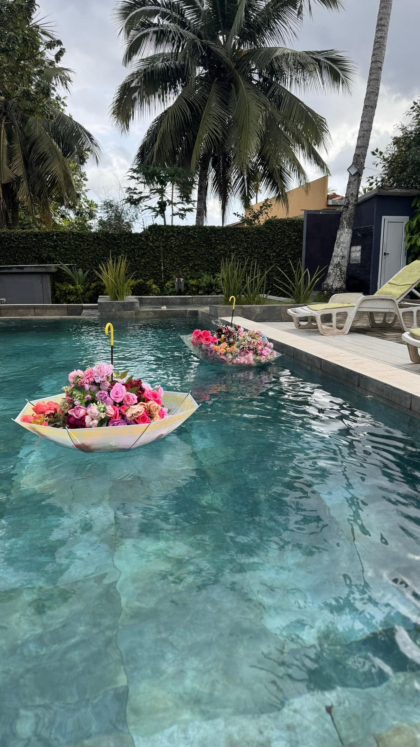 Image du restaurant 5