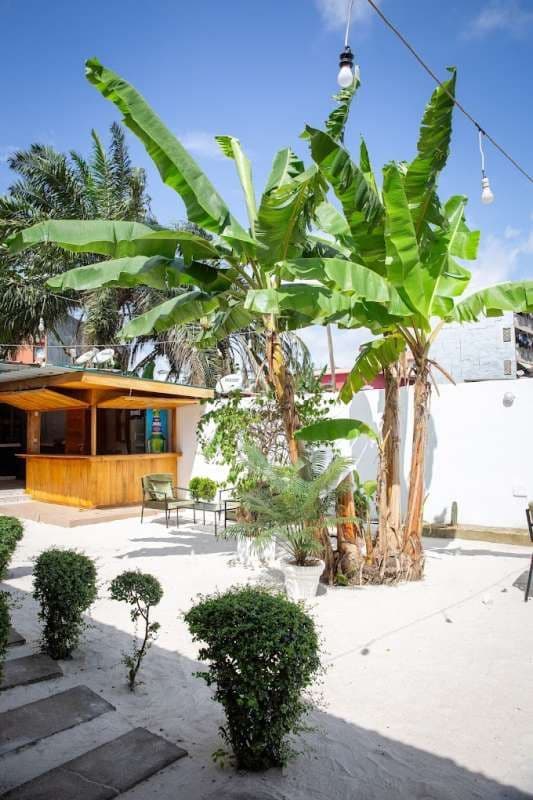 Image du restaurant 7