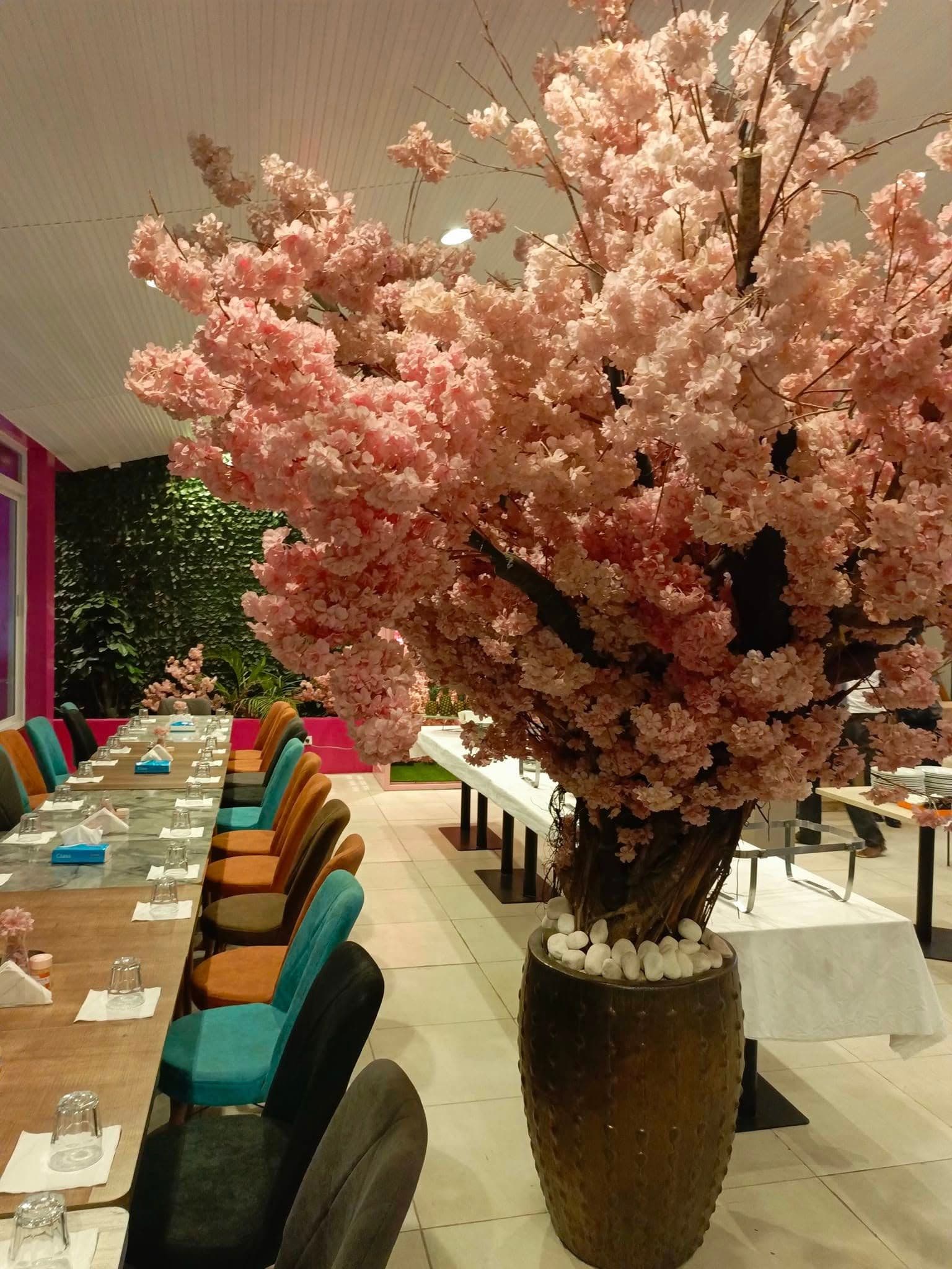 Image du restaurant 6