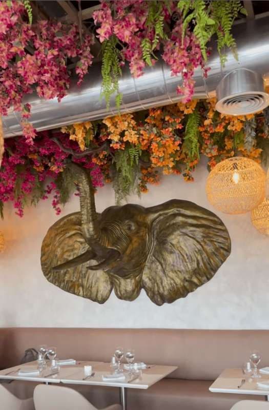 Image du restaurant 6